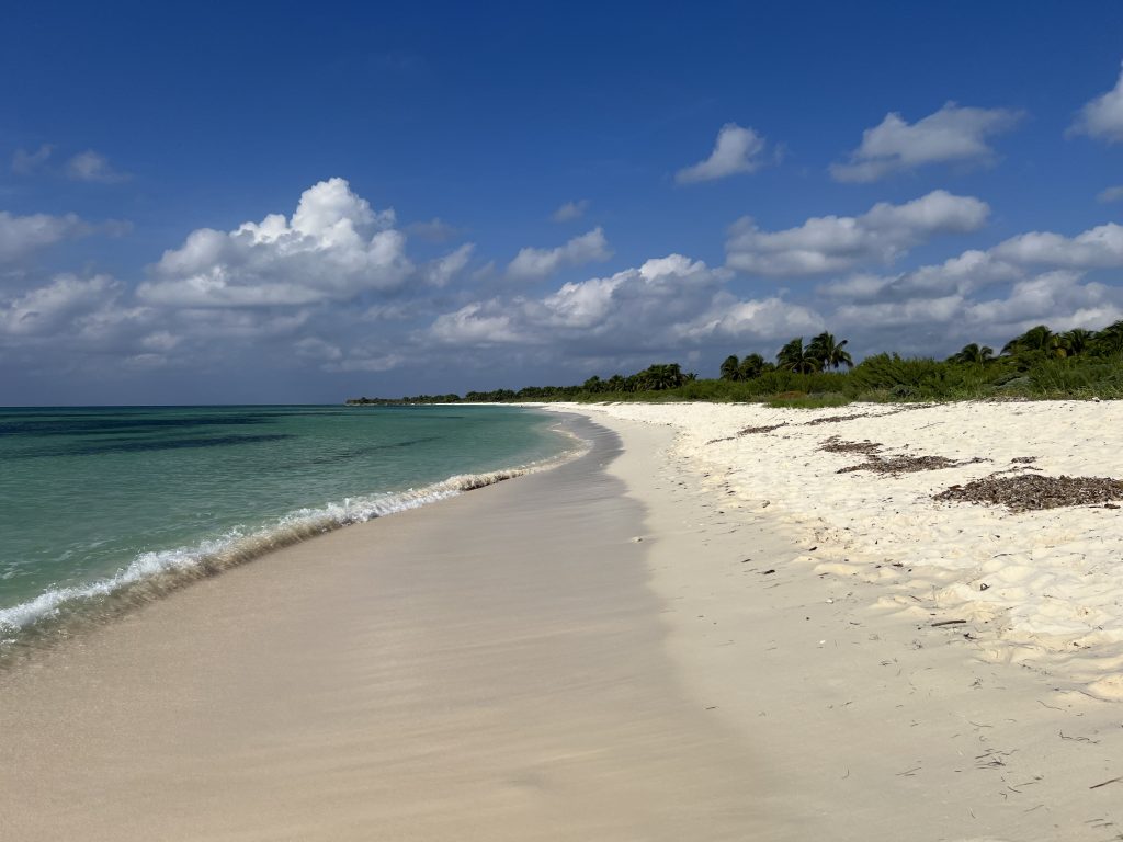 Uncovering the Wonders of Cozumel: The Benefits of a Private Guided Jeep Tour