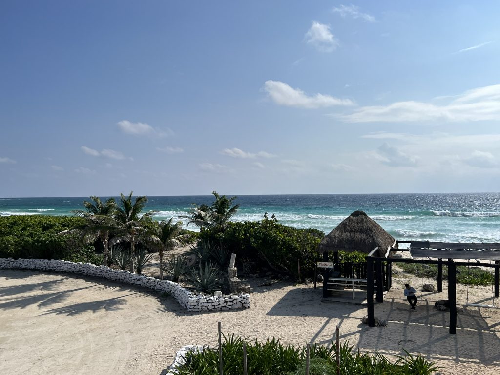Uncovering the Wonders of Cozumel: The Benefits of a Private Guided Jeep Tour