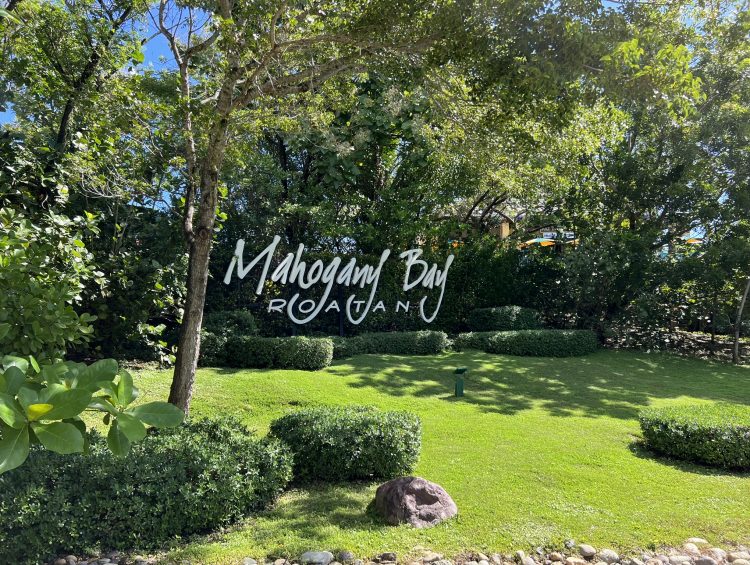 Mahogany Bay Cruise Port Guide: A Tropical Gateway to Roatan