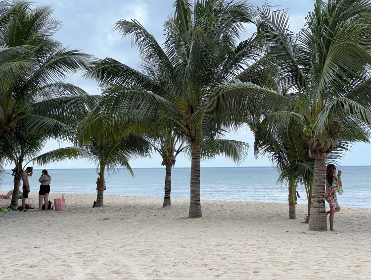 Discover the Ultimate Relaxation with Cozumel's Paradise Beach Exclusive All-Inclusive Day Pass