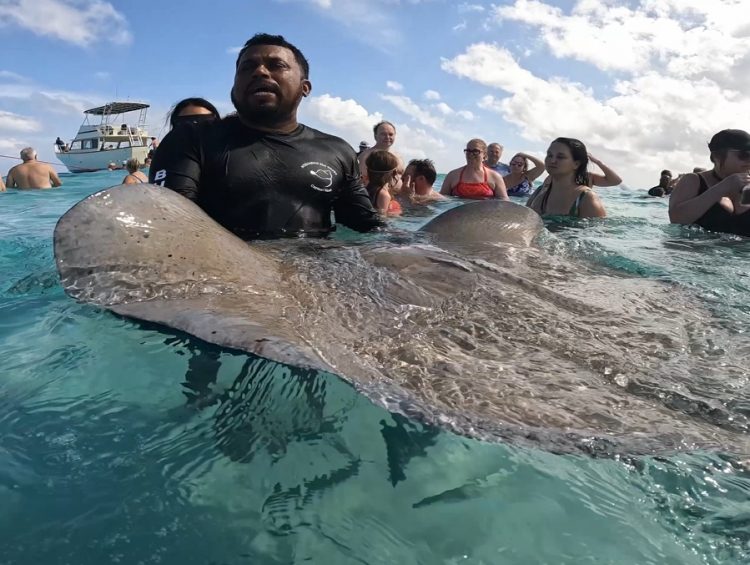 Cruise Shore Excursions - Starfish Point, Stingray City and Coral Garden (3-Stop Adventure) Viator