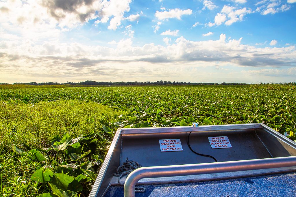 Everglades Airboat Ride