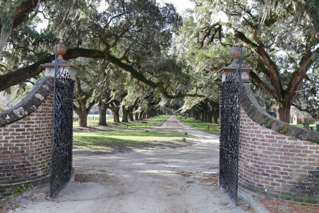 Boone Hall Plantation & Gardens
