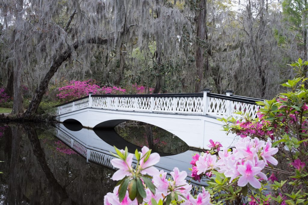 Magnolia Plantation and Gardens