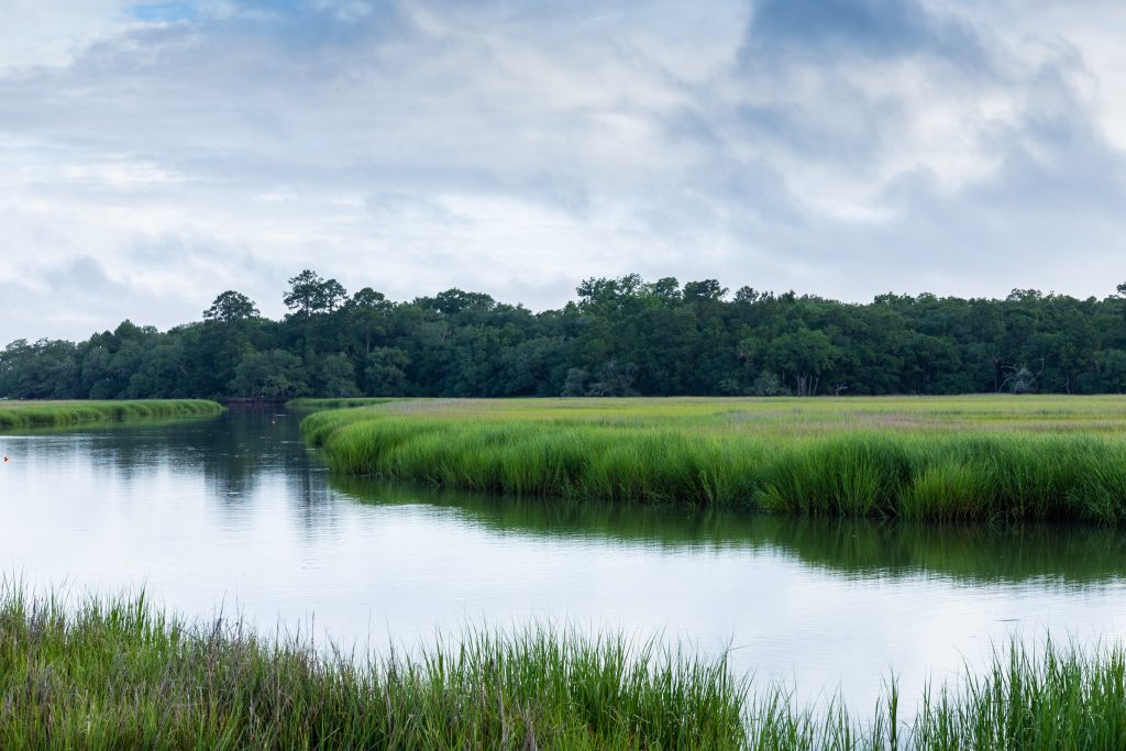 Kayak through the Marshes