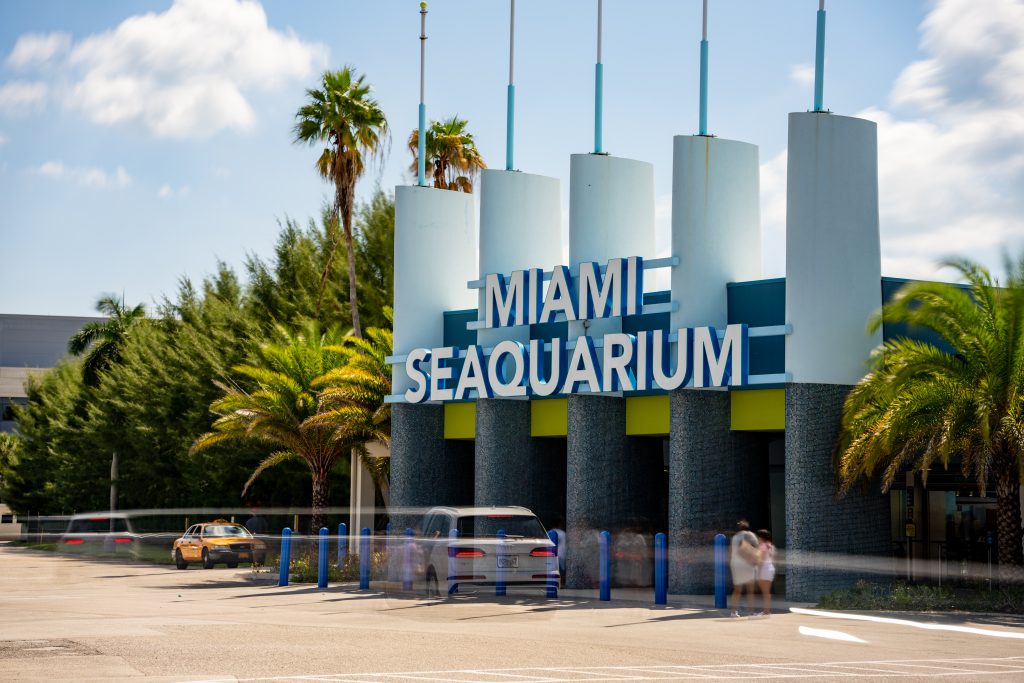 Experience Underwater Wonders at Miami Seaquarium