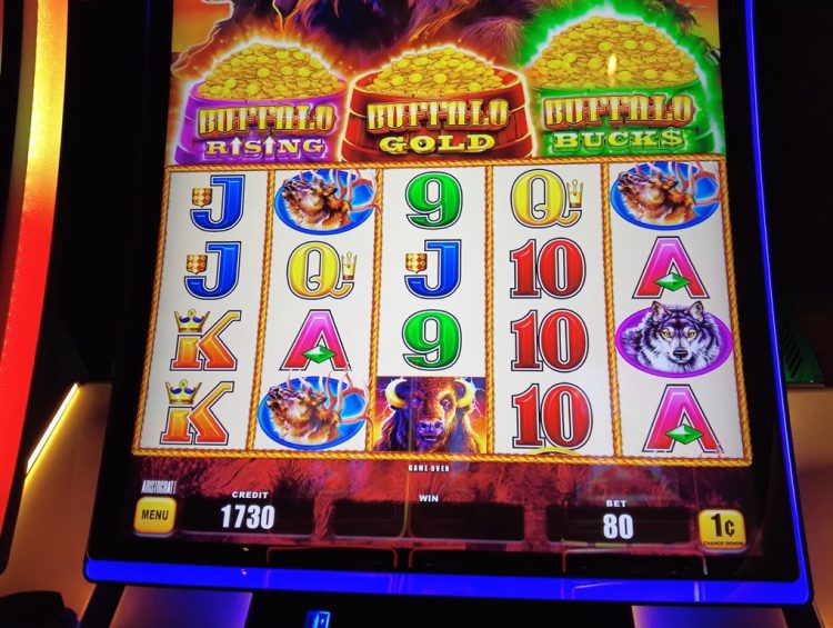 Cruise Ship Casinos - Can We Hit Buffalo Rising/Buffalo Bucks on Buffalo Triple Power Slot with $20?