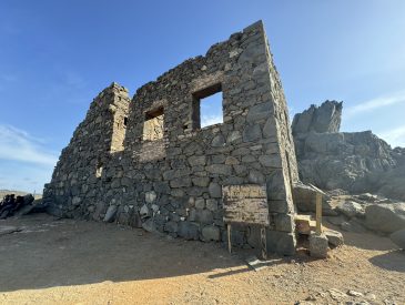 Cruise Shore Excursions - Small-Group Aruba 2-Seater UTV Tour Adventure Shore Excursion from Viator