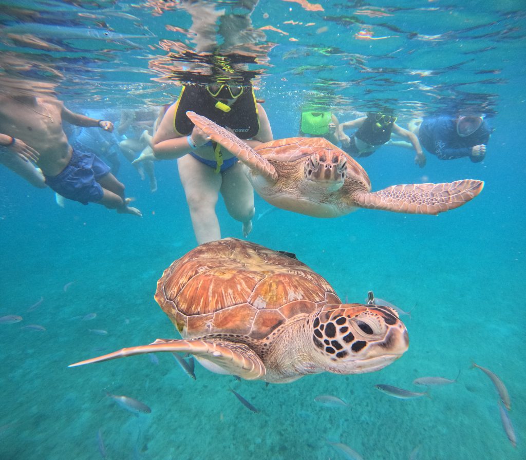 A Guide to the Cruise Port of Willemstad, Curaçao