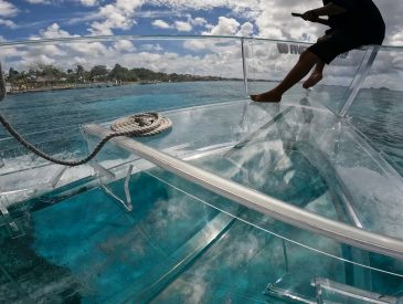 Cruise Shore Excursions - Cozumel Invisible Snorkeling Boat Adventure Cruise Shore Excursion
