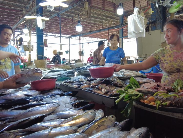 Travel Experiences - Visiting a Dirty Market in Zambales Philippines