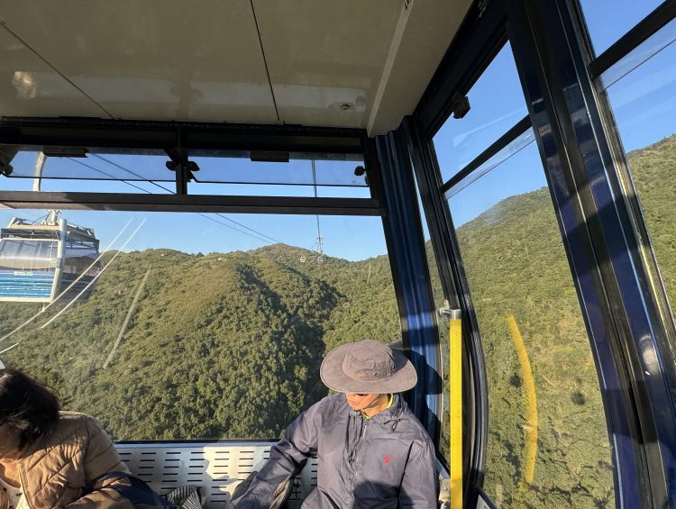 Travel Excursions - The Ngong Ping 360 Cable Car in Hong Kong - Ngong Ping Village & Tian Tan Budda