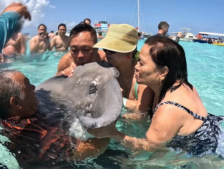 Stingray City Grand Cayman Excursion Review | Starfish Point & Coral Garden Snorkeling Tour