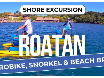 Roatan Hydrobike, Reef Snorkel & Private Island Beach Break | Shore Excursion Review