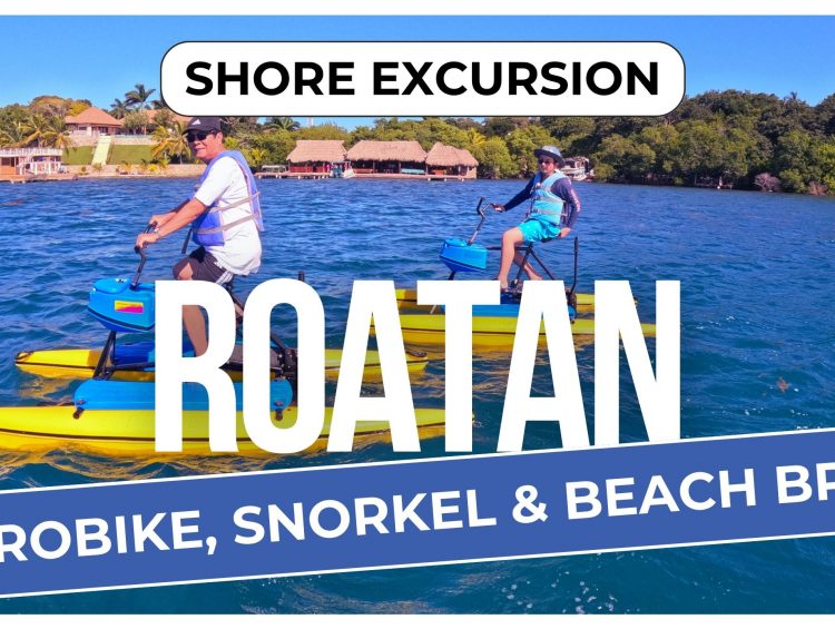 Roatan Hydrobike, Reef Snorkel & Private Island Beach Break | Shore Excursion Review
